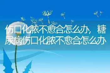 伤口化脓不愈合怎么办,糖尿病伤口化脓不愈合怎么办