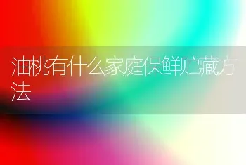 油桃有什么家庭保鲜贮藏方法