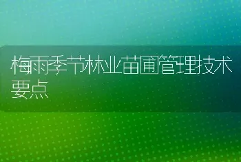 梅雨季节林业苗圃管理技术要点