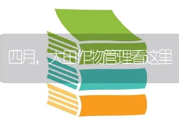 四月,大田作物管理看这里