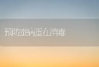 预防蚕病重在消毒