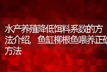 水产养殖降低饵料系数的方法介绍