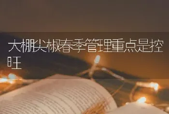 大棚尖椒春季管理重点是控旺