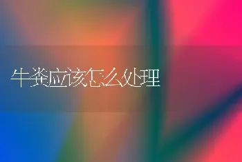 牛粪应该怎么处理