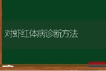 对虾红体病诊断方法