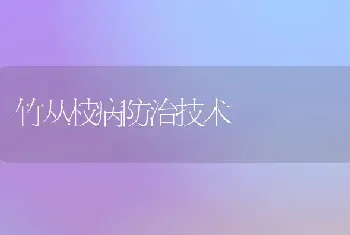 竹丛枝病防治技术