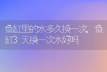 鱼缸里的水多久换一次