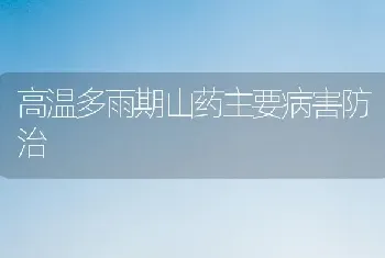 高温多雨期山药主要病害防治