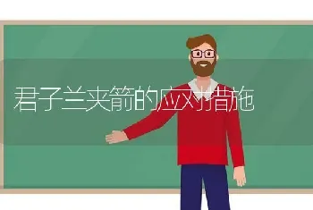 君子兰夹箭的应对措施