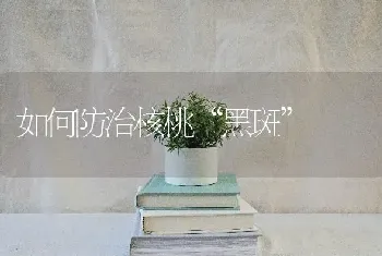 如何防治核桃“黑斑”