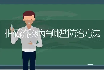 柑橘流胶病有哪些防治方法