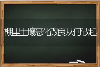 棚里土壤恶化改良从何做起