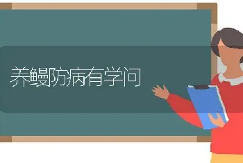 养鳗防病有学问