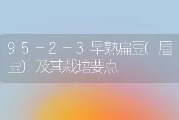 95-2-3早熟扁豆(眉豆)及其栽培要点