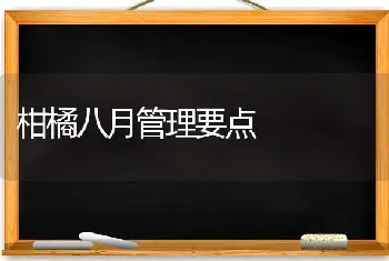 柑橘八月管理要点