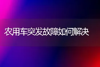 农用车突发故障如何解决