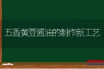 五香黄豆酱油的制作新工艺