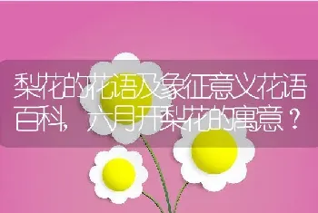 梨花的花语及象征意义花语百科