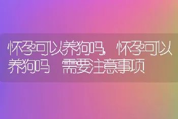 怀孕可以养狗吗,怀孕可以养狗吗 需要注意事项