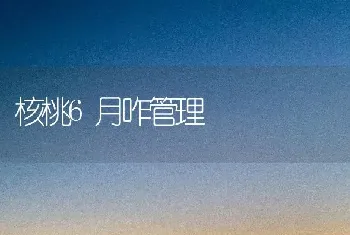 核桃6月咋管理