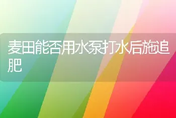 麦田能否用水泵打水后施追肥