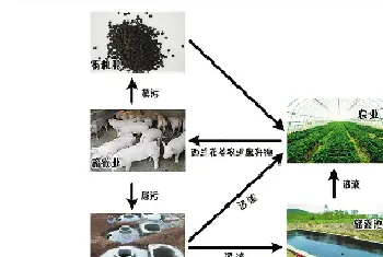 养殖污水的危害 畜禽养殖污水污染现状及防治建议