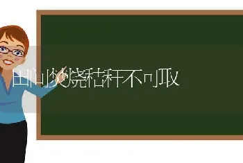 田间焚烧秸秆不可取