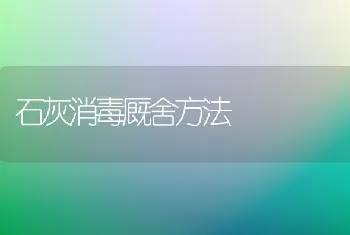 石灰消毒厩舍方法