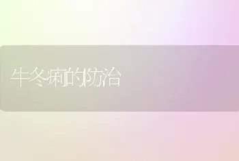 牛冬痢的防治