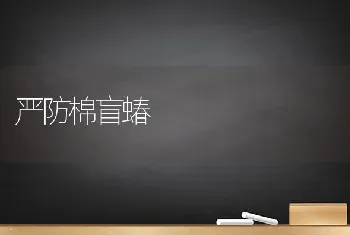 严防棉盲蝽