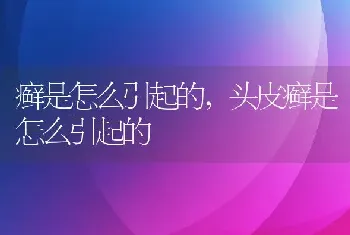 癣是怎么引起的