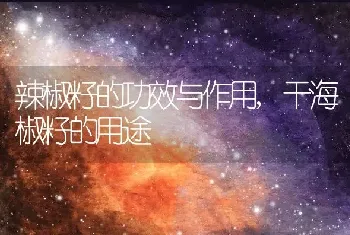 辣椒籽的功效与作用