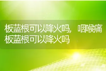 板蓝根可以降火吗,咽喉痛板蓝根可以降火吗