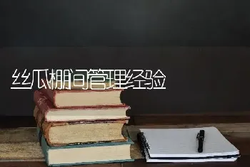 丝瓜棚间管理经验