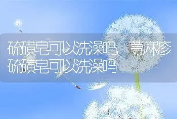 硫磺皂可以洗澡吗,荨麻疹硫磺皂可以洗澡吗