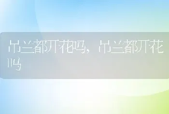 高级渣女的表现和典型特征