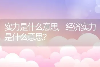 实力是什么意思