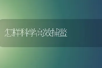 怎样科学高效捕鳖