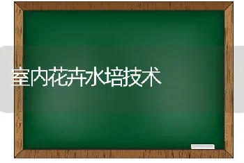 室内花卉水培技术