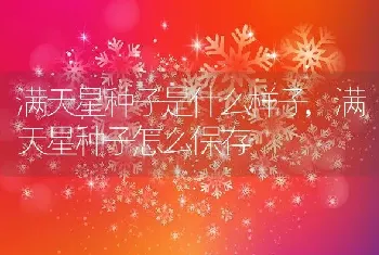 满天星种子是什么样子