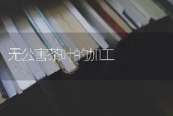 无公害茶叶的加工