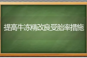 提高牛冻精改良受胎率措施