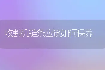 收割机链条应该如何保养