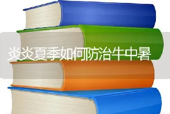 炎炎夏季如何防治牛中暑