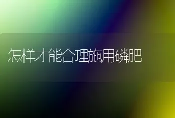 怎样才能合理施用磷肥