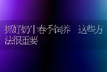 抓好奶牛春季饲养 这些方法很重要