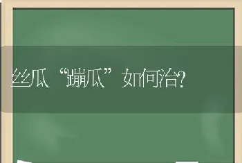 丝瓜“蹦瓜”如何治?