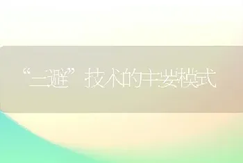 “三避”技术的主要模式