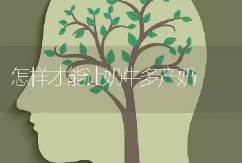 怎样才能让奶牛多产奶