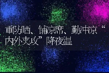 重防晒、铺凉席、勤冲凉“内外夹攻”降夜温